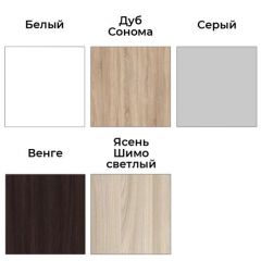 Шкаф-купе ХИТ-У-22-4-11 | фото 3