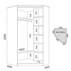 Шкаф-купе ХИТ-У-L-22-64-55 | фото 2