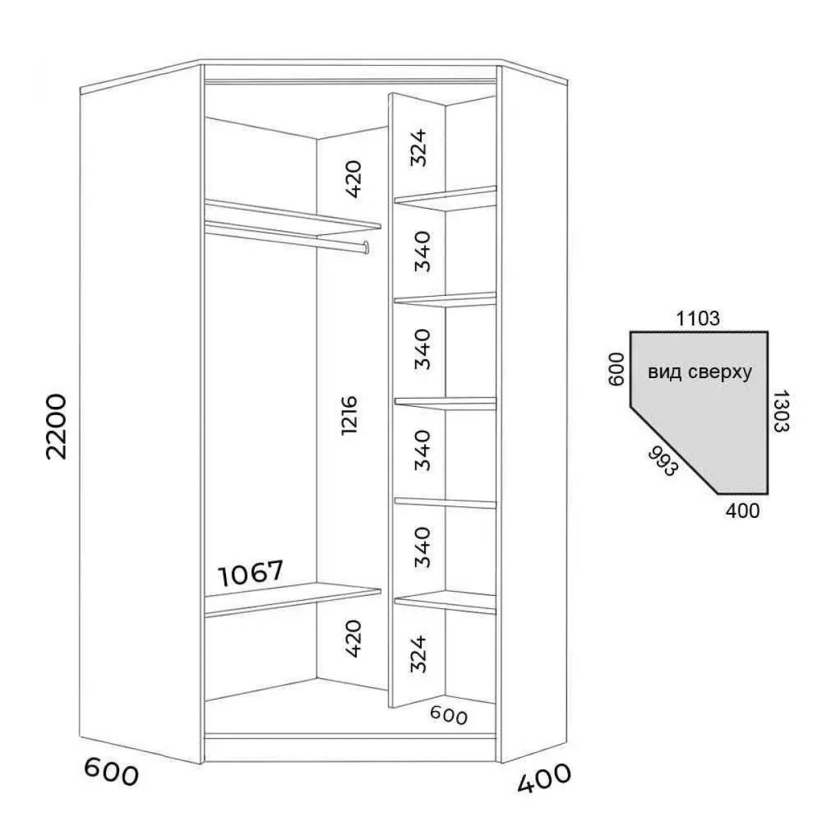 Шкаф-купе ХИТ-У-R-22-64-15 | фото 2