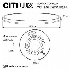 Накладной светильник Citilux Norma CL748500 | фото 11