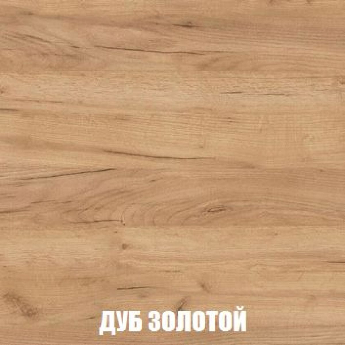 МСП-1 Шкаф 2-х створчатый (Дуб Золотой/Камень темный) | фото 4